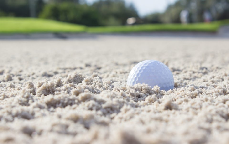 Emotional Intelligence ความฉลาดทางอารมณ์